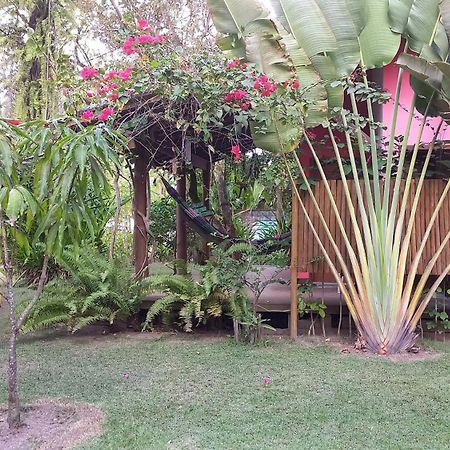 Pachamama Flats - Taipu De Fora Apartment Barra Grande  Exterior photo