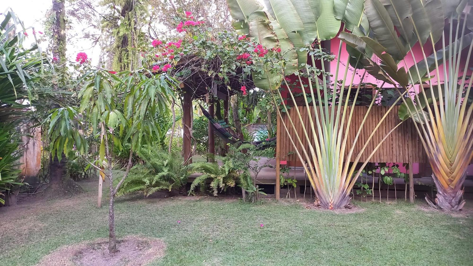 Pachamama Flats - Taipu De Fora Apartment Barra Grande  Exterior photo